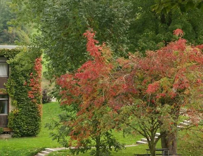 Apartamento Abendrot *